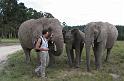 Elephant Sanctuary (8)